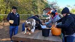 Five Hahn lab members and a baby with the goats and pumkins on the pumpkin carving table.