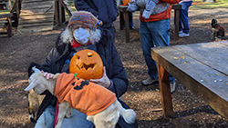 An older woman pets a goat in her lap while holding a carved pumpkin. There are other people in the background. All of them arein a goat enclosure with carving tables and baby goats.